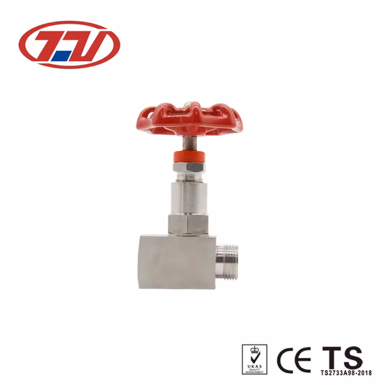 High Temperature Thread Stainless Steel SS304 SS316 Forged Female Needle Valve