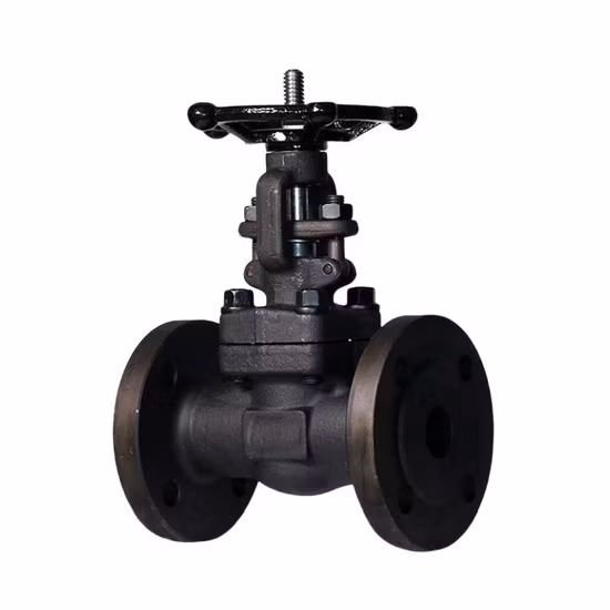 Stainless Steel/Wcb/F304/F316/F321 Flange & Thread & Butt Weld & Socket Weld Forged Steel Check Globe Gate Valve