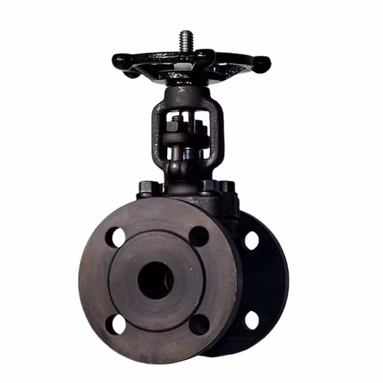 Stainless Steel/Wcb/F304/F316/F321 Flange & Thread & Butt Weld & Socket Weld Forged Steel Check Globe Gate Valve
