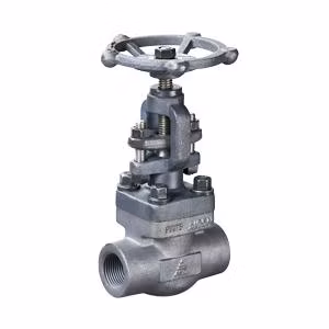 Stainless Steel/Wcb/F304/F316/F321 Flange & Thread & Butt Weld & Socket Weld Forged Steel Check Globe Gate Valve